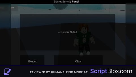 Secret Service Panel Remake