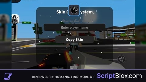 copy skin