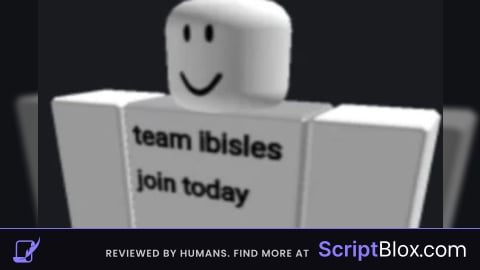 F3X team ibisles