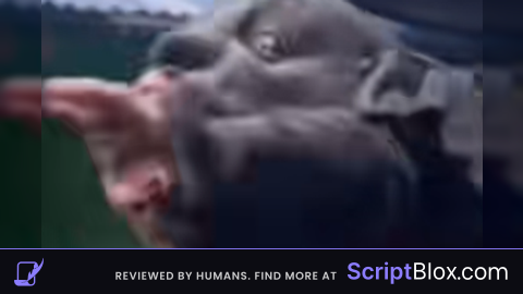 Ban Script