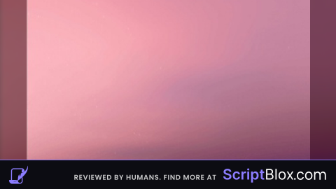 Remote Viewer