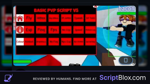 Basic PvP Script