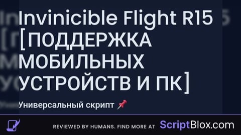 Invicicible Flight R15