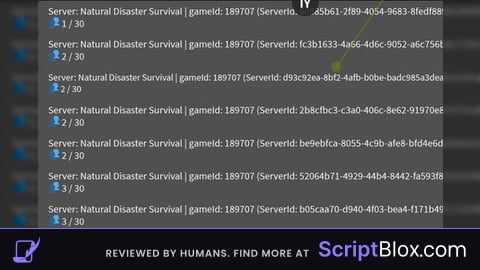 Server