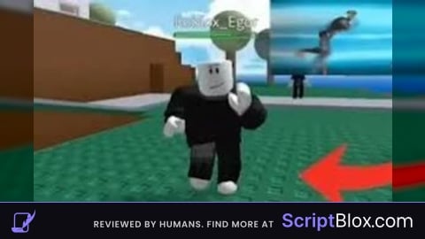 Roblox Egor Script