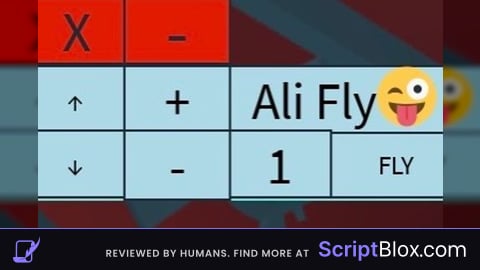 Ali Fly