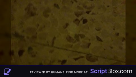 AK47 Script made by ChatGPT