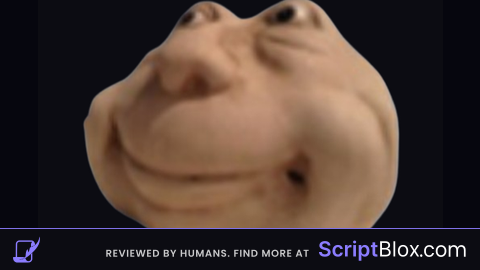 c00lgui