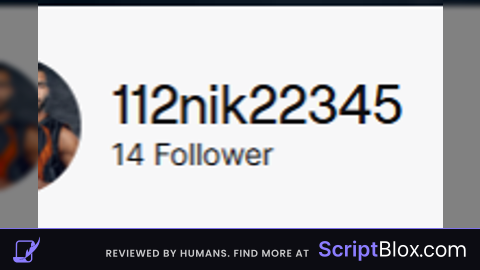 Fly Script Universal