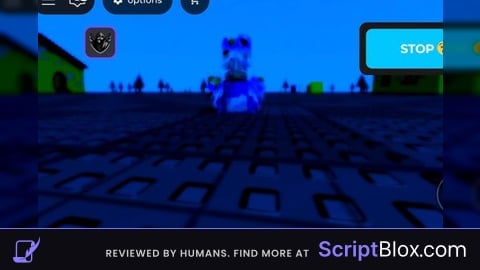 Crazy Script