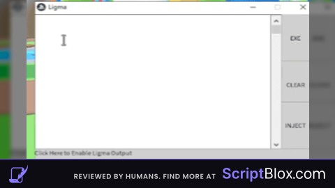 Project Ligma Visual