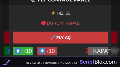 fly