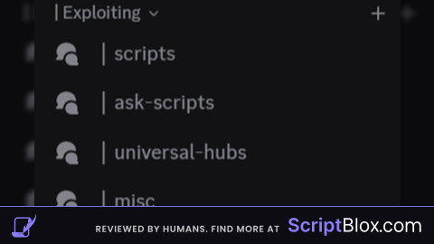 Xploits 1 Script Server TOP