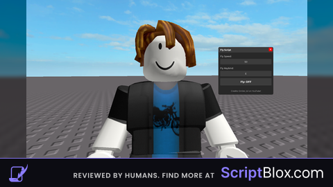 Fly script