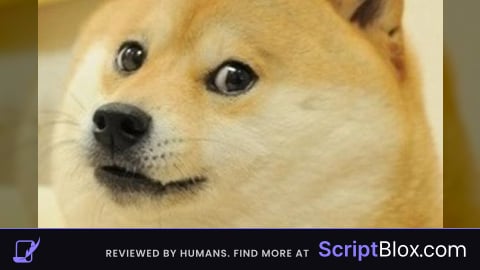 Majors Script hub