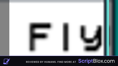 Fly gui