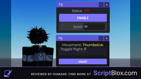 HdAdmin Fly