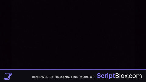 Fly V6 Script