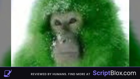 give me a normal script 4 project scp
