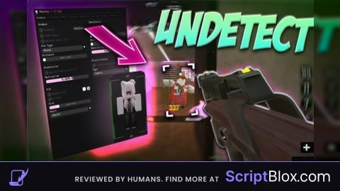 External Roblox Aim Script