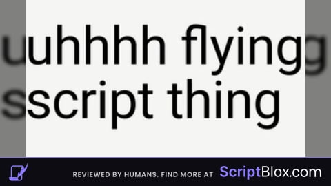 Fly script