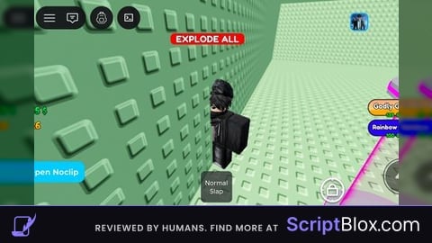 Noclip