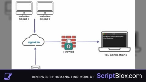 AntiWebhooks script