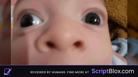 Script bettersaken