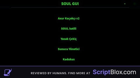 SOUL GUI