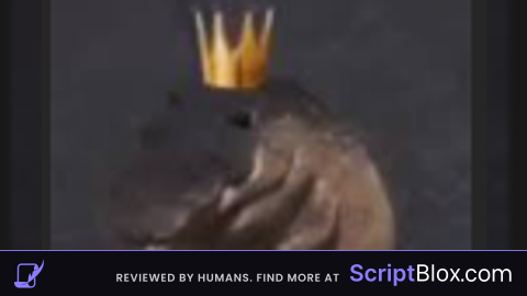 Visual sp0ng3b0pkidd gui
