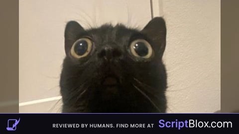 Speed script