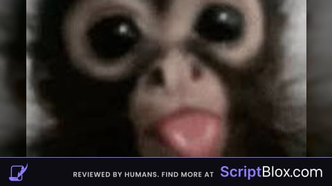 MonkeScripts Universal Fly Script