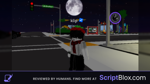 Verification Ky Studio