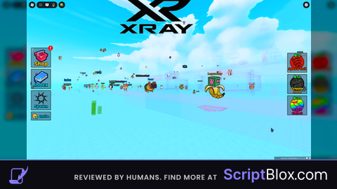 Xray