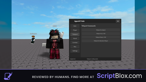 Agent 47 Hub