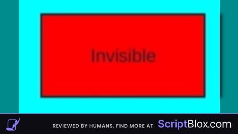 Script Invisible me