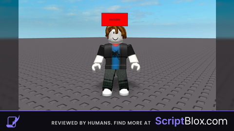 Script Invisible me