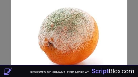 danger egg
