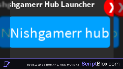 Nishgamerr loader