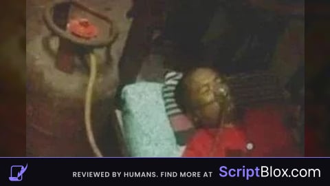 Fly script 0912