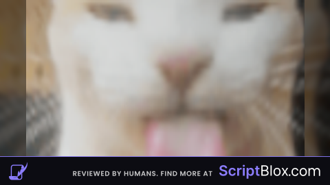 Test Script AJROBLOX
