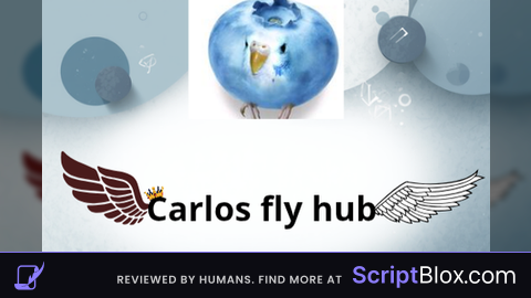 Carlos Fly hub keyless