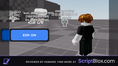 Esp script