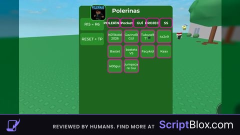 Polerinas HUBV2