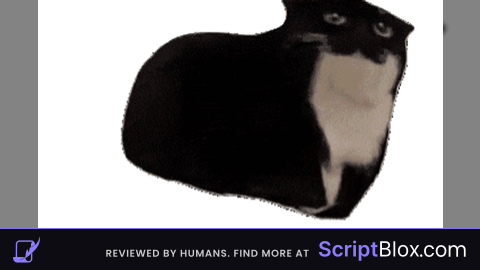 Chat script