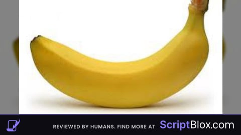 Script with basic functions