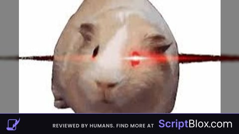 fly script