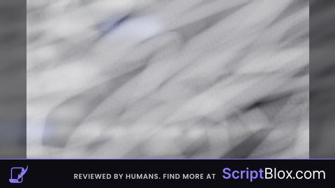 Best Teleporting Script