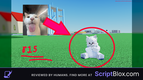 Cat Animation Scripts