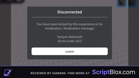 anti loadstring spy